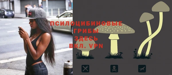 MESCALINE Осинники