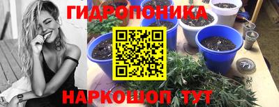 mdpv Канаш