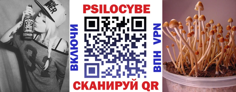 наркотики  Серов  Псилоцибиновые грибы мухоморы 