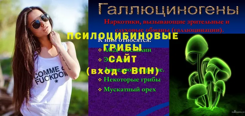 Галлюциногенные грибы Psilocybine cubensis  Серов 