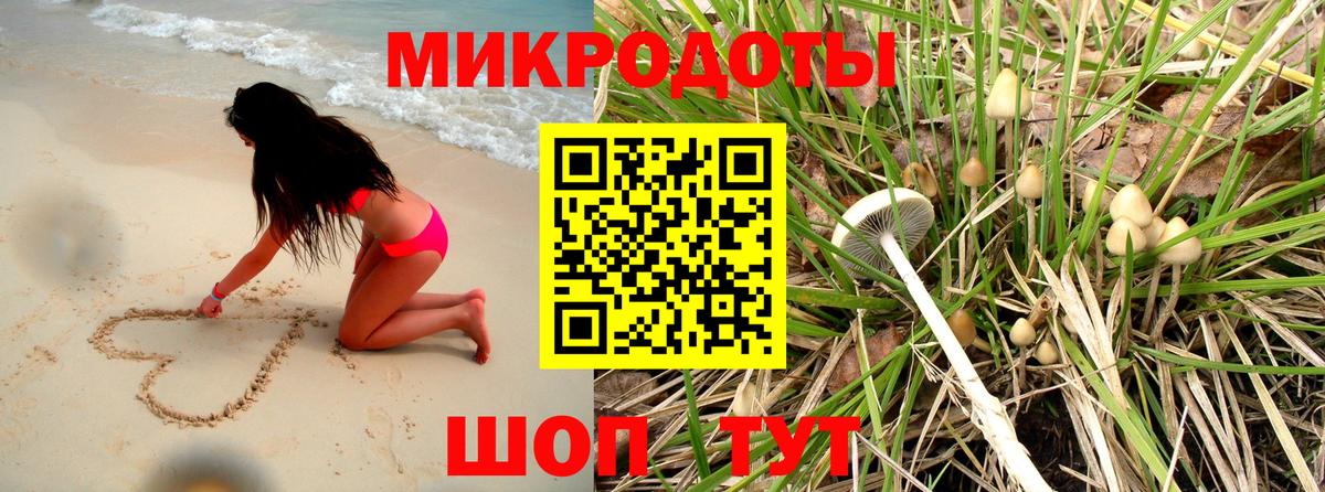 Псилоцибиновые грибы мицелий  Серов 