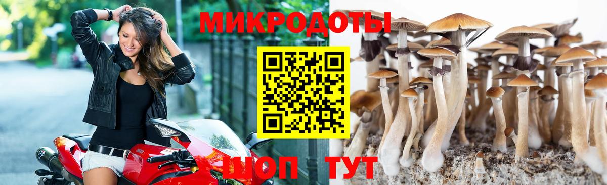 наркота  Псилоцибиновые грибы прущие грибы  Вход с VPN  Серов 